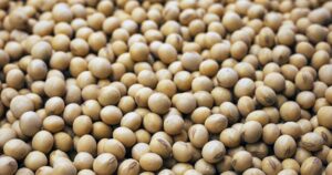 生理痛・PMSを和らげる食べ物10選｜ホルモンバランスと炎症を食事でサポート