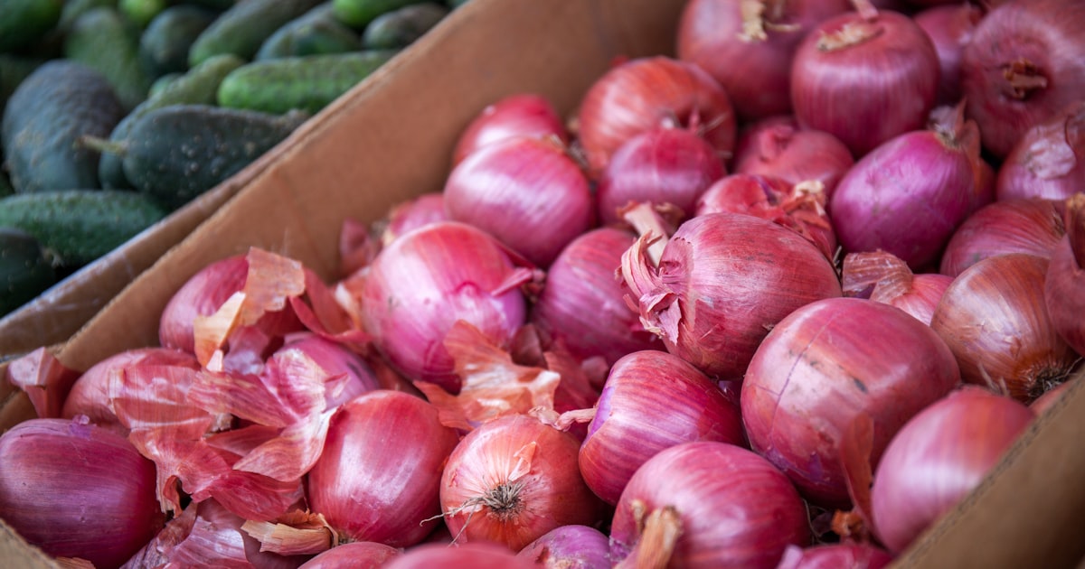 花粉症の症状を和らげる食べ物10選｜腸活と抗ヒスタミン食材で体質改善