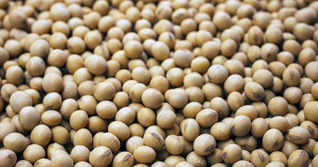 生理痛・PMSを和らげる食べ物10選｜ホルモンバランスと炎症を食事でサポート