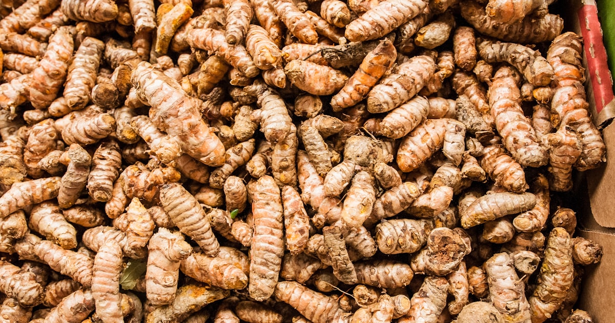 肩こり・首こりを和らげる食べ物10選｜血行改善と炎症抑制に効く食事術